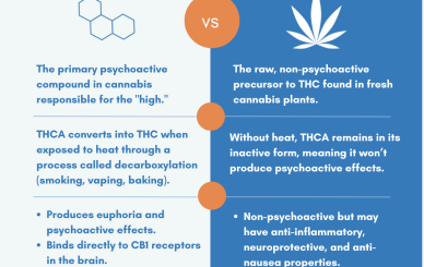 thc vs thca