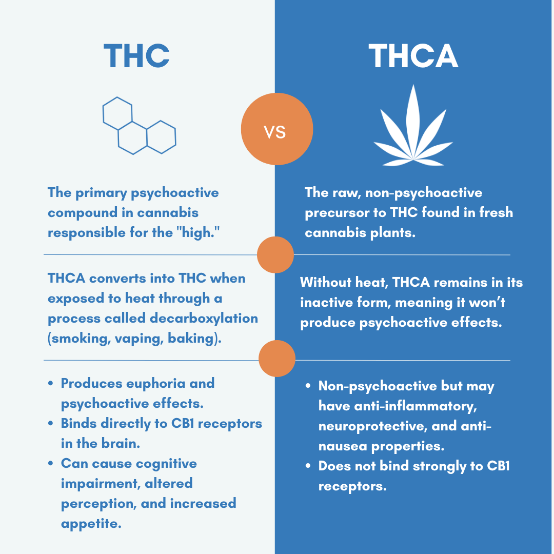 thc vs thca