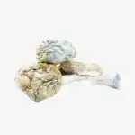 Alien Bubbles Magic Mushrooms | Buy Alien Bubbles Magic Mushrooms