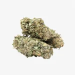 Animal Cookies Cannabis (Potent) | Animal Cookies Strain