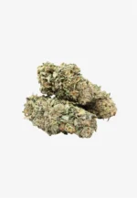 Animal Cookies Cannabis (Potent) | Animal Cookies Strain