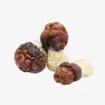 Bluey Vuitton Magic Mushrooms | Bluey Vuitton Mushroom Strain