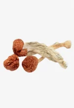 Cambodian Magic Mushrooms | Cambodian Shroom Strain