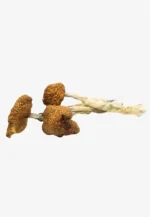 Daddy Long Legs Magic Mushrooms | Daddy Long Legs Mushroom