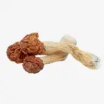 Melmac Penis Envy Magic Mushrooms | Melmac Penis Envy Mushrooms