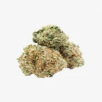 Miracle Alien Cookies Cannabis | Miracle Alien Cookies Weed Strain