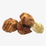 Penis Envy Dino Eggs Magic Mushrooms