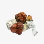 Texas Yellow Cap Magic Mushrooms | Texas Yellow Caps Magic Mushrooms