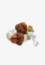 Texas Yellow Cap Magic Mushrooms | Texas Yellow Caps Magic Mushrooms