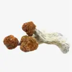 Trinity Magic Mushrooms | Trinity Mushroom Strain
