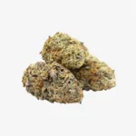 Zelato Ice Cannabis | Zelato Ice Weed Strain