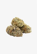 Zelato Ice Cannabis | Zelato Ice Weed Strain