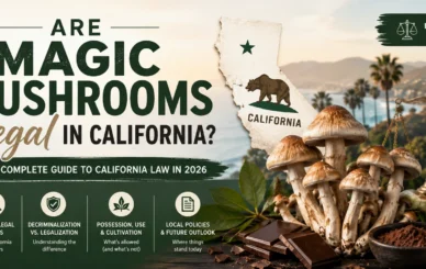 Magic mushrooms legal in california