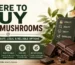 where to buy magic mushrooms