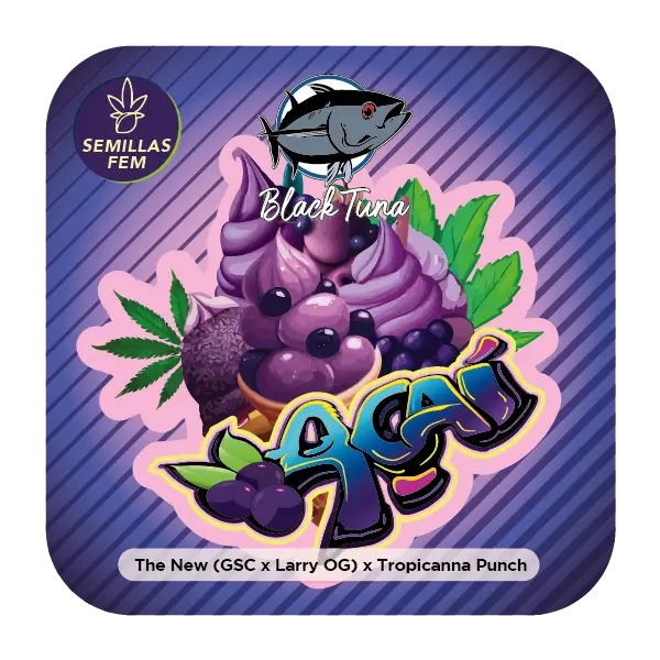 acai-5-seeds-1.webp Açaí Feminized By Black Tuna Seeds - Image 1