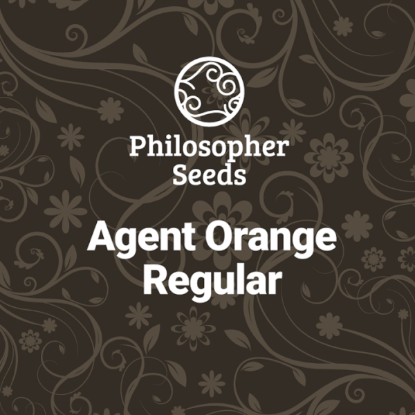 agent-orange-5-seeds.png Agent Orange Regular By Philosopher Seeds - Image 1