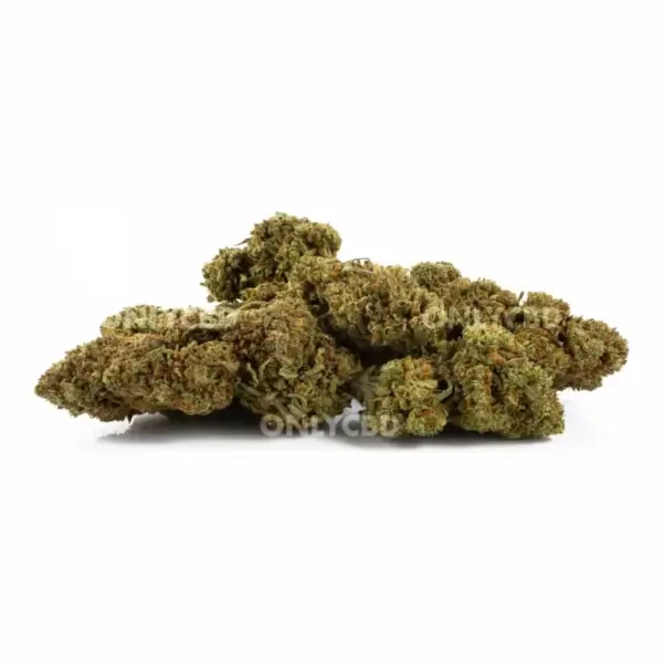 amnesia-og-cbd-greenhouse-flowers-by-only-cbd-5-g-1.webp Amnesia Og Cbd Greenhouse Flowers By Only Cbd - Image 1