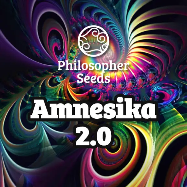 amnesika-20-5-seeds Amnesika 2.0 Feminized By Philosopher Seeds - Image 1