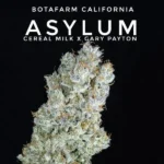 Asylum Feminized By Botafarm Genetics
