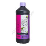 Atami B’Cuzz Bloom Stimulator