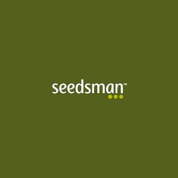 auto-cbdv-11-3-seeds.jpg Auto Cbdv 1:1 Autoflower By Seedsman - Image 1