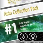 Auto Collection Pack #1 Autoflower By Paradise Seeds