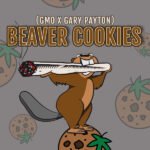Beaver Cookies Feminized By Elev8 Seeds