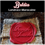 Beldia Regular By French Touch Seeds