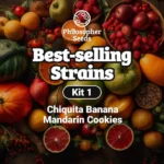 Best-Selling Strains Kit Feminized By Philosopher Seeds