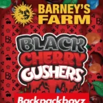 Black Cherry Gushers Feminized By Barneys Farm