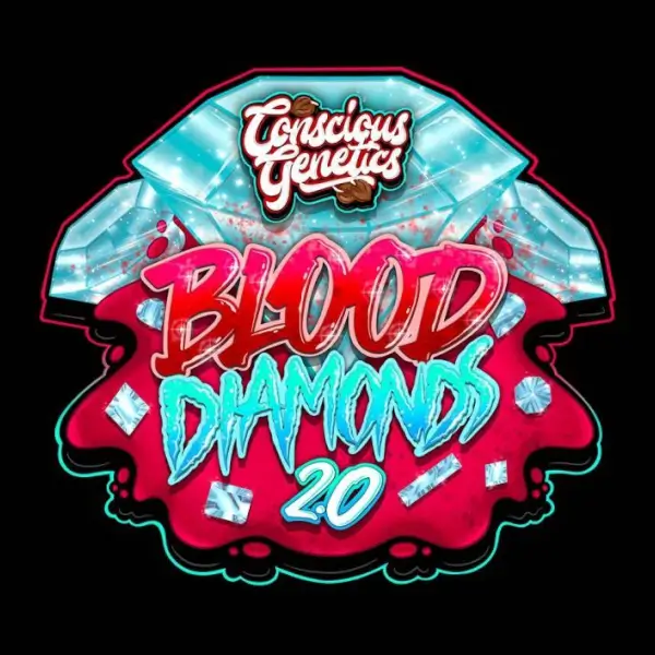 blood-diamonds-20-7-seeds Blood Diamonds 2.0 Feminized By Conscious Genetics - Image 1