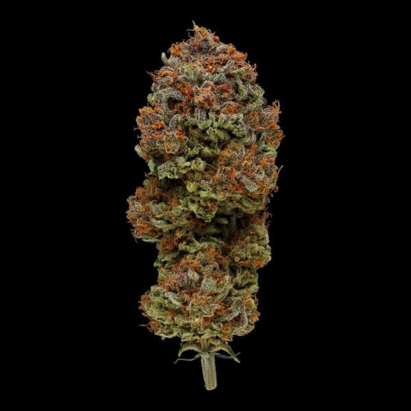 blueberry-muffin-3-seeds.jpg Blueberry Muffin Feminized By Humboldt Seed Company - Image 1
