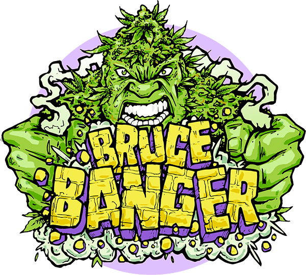 bruce-banger-3-seeds.png Bruce Banger Feminized By Seedsman - Image 1