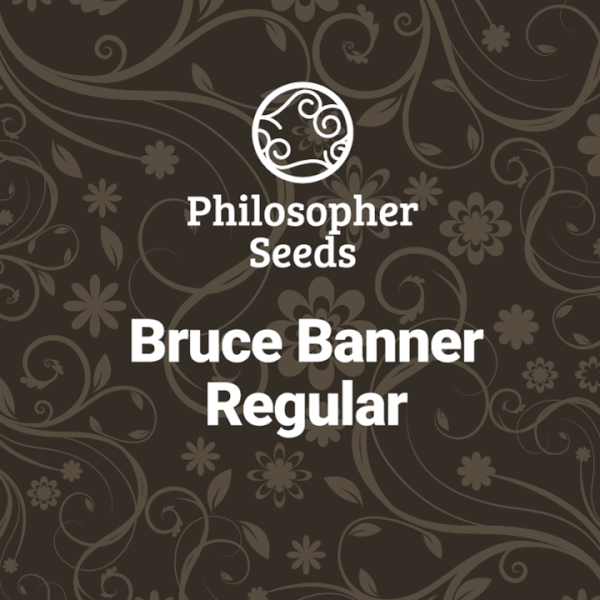 bruce-banner-5-seeds.png Bruce Banner Regular By Philosopher Seeds - Image 1