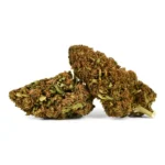 Cbd Flowers Ak-47 Outdoor Natural Suit