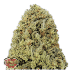 Fast & Vast Auto Autoflower By Heavyweight Seeds