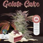 Gelato Cake Feminized By T.H. Seeds