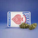Greenhouse Apple Jack Cbd Flowers