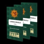 Lemon Drizzle Feminized By Barneys Farm