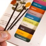 Mini-Incense Range Jardin Nature 15 Fragrances
