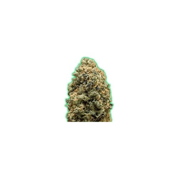 monster-bruce-banner-auto-3-seeds.jpg Monster Bruce Banner Auto Autoflower By Monster Genetics - Image 1