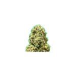 Monster Girl Scout Cookies Feminized By Monster Genetics