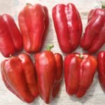 Organic 4 Morros Red Pepper - Les Refardes