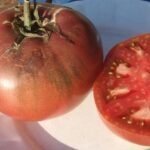Organic Black Charcoal Tomato - Les Refardes