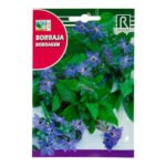 Rocalba Borage