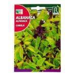 Rocalba Cinnamon Basil