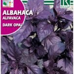 Rocalba Dark Opal Basil