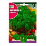 Rocalba Large Green Basil