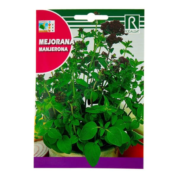rocalba-marjoram-1g.jpg Rocalba Marjoram - Image 1