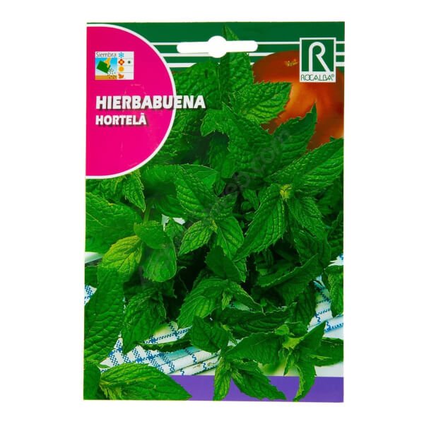 rocalba-mint-02-g.jpg Rocalba Mint - Image 1